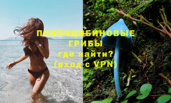 мет Верхний Тагил